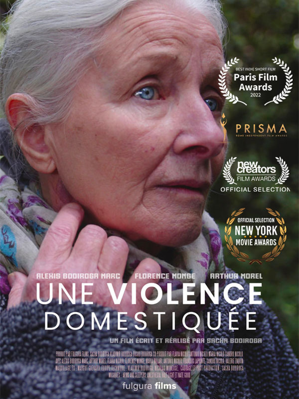 violence domestiquée prix