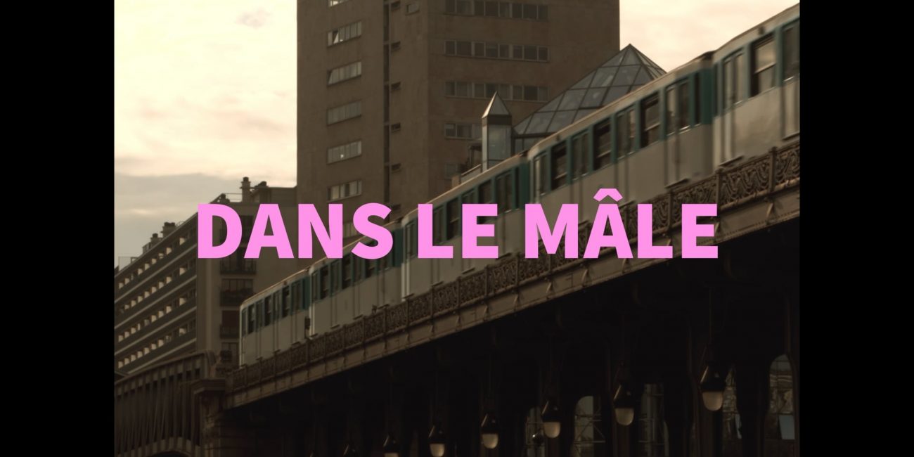 dans le mâle – court métrage (8min) vimeo thumbnail